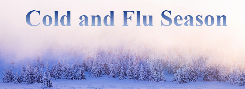 Cold and Flu Season Homepage Banner